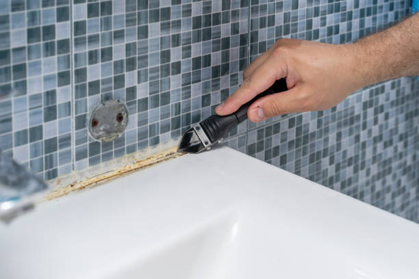 Best Mold Removal Specialists  in Mead Valley, CA
